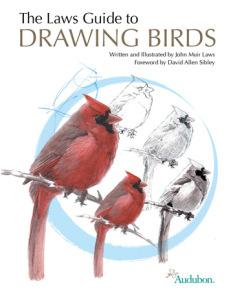 Drawing-Birds-Cover-small