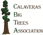 Calaveras Big Trees Assn
